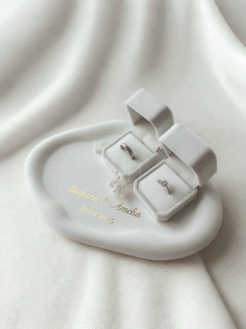 Plateau d’Alliances — Élégance