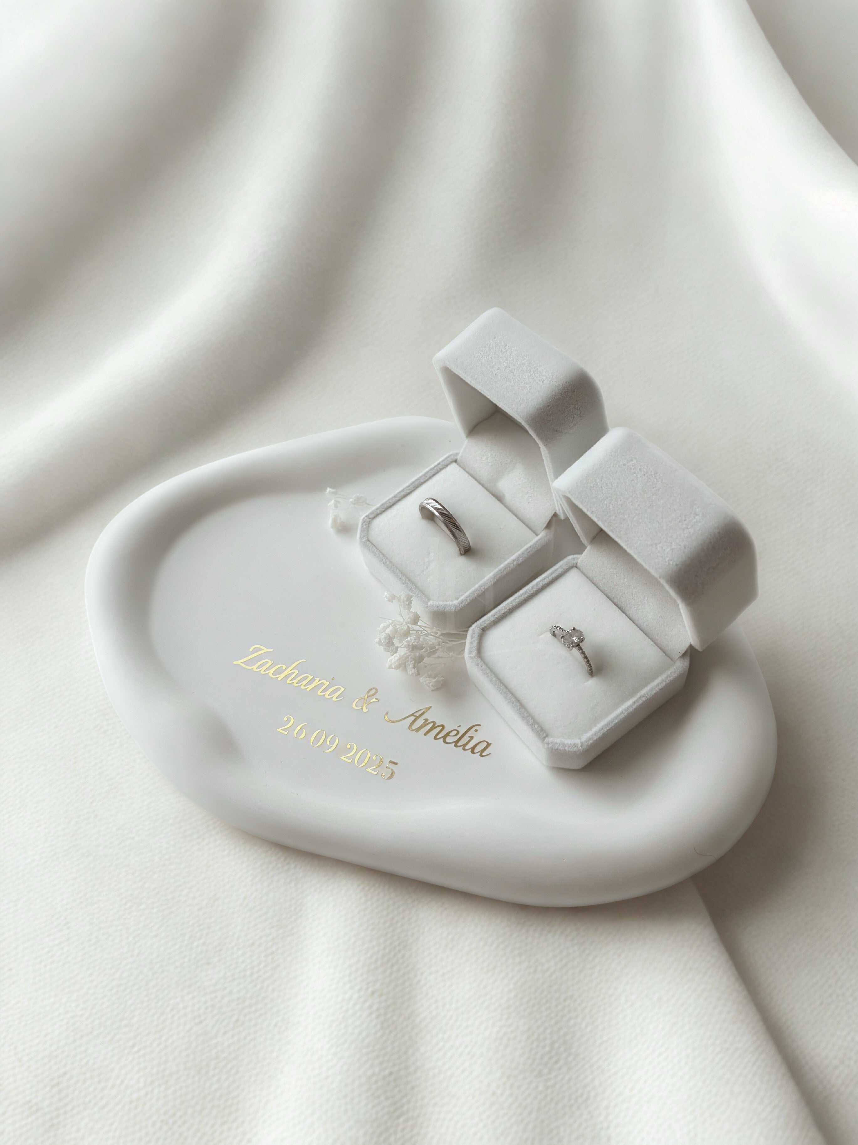 Plateau d’Alliances — Élégance