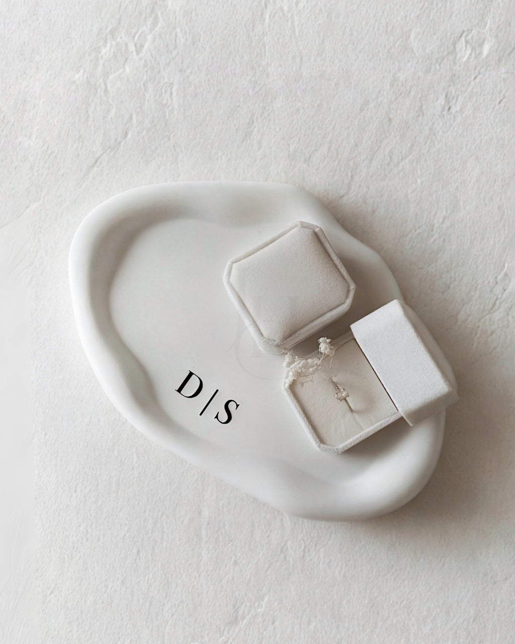 Plateau d’Alliances — Élégance