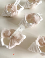 Cadeau invité — Coquillage