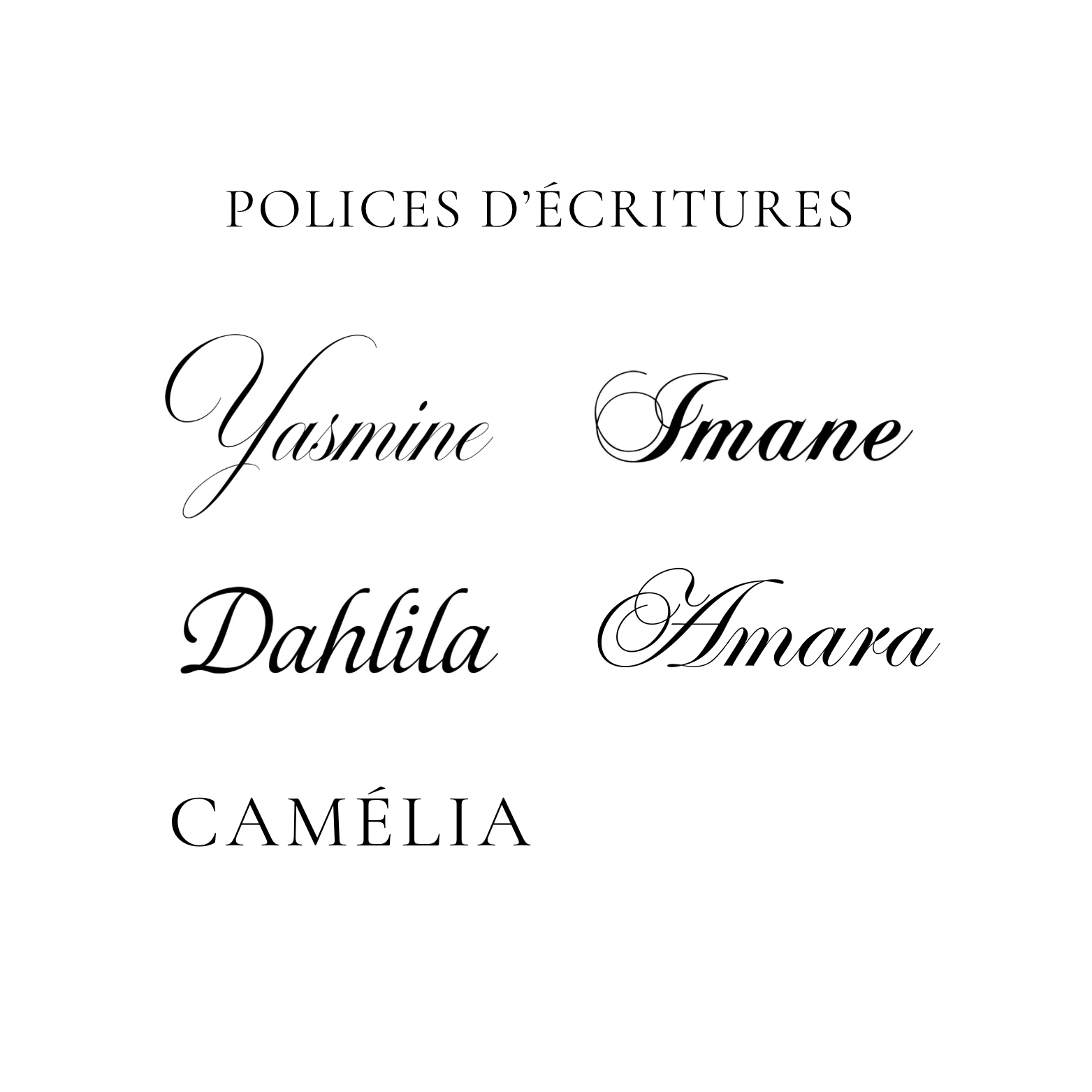 Plateau d’Alliances — Florale